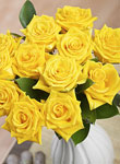 Yellow roses for friendship