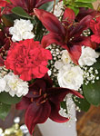 Christmas Belle Bouquet - Free UK delivery