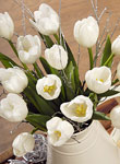 Christmas White Tulips - Free UK delivery