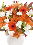 Citrus Burst - Free UK delivery