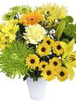 Lemon Zest arrangement - Free UK delivery