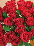 Mothers Day Roses - Free UK delivery