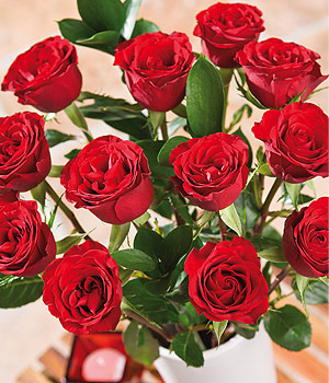 12 Red Roses