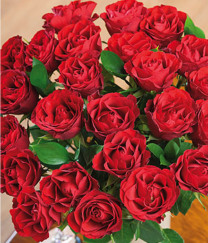 Flowers Direct on Flowers By Post Direct