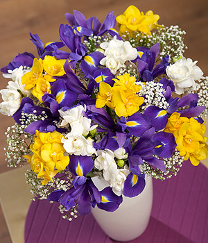Iris and Freesias Iris and Freesias