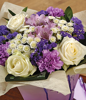 Lilac Dream