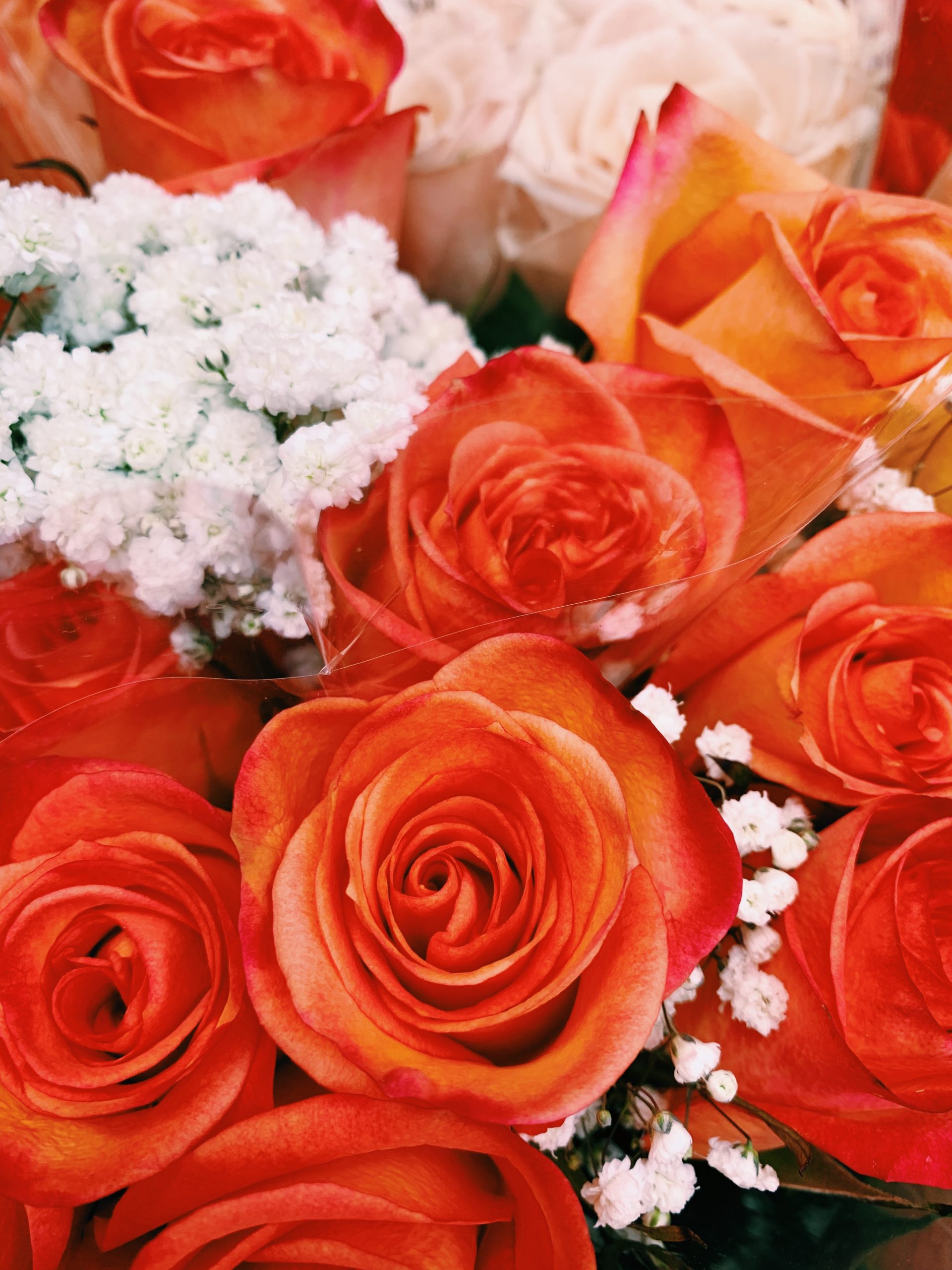 Why buy cheap valentines flowers? 6 Cheap valentines flowers