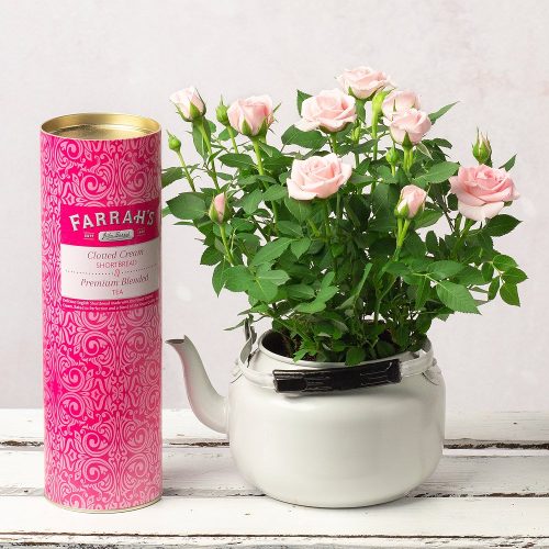 Send Flowers By Post Direct To Your Loved Ones And Friends